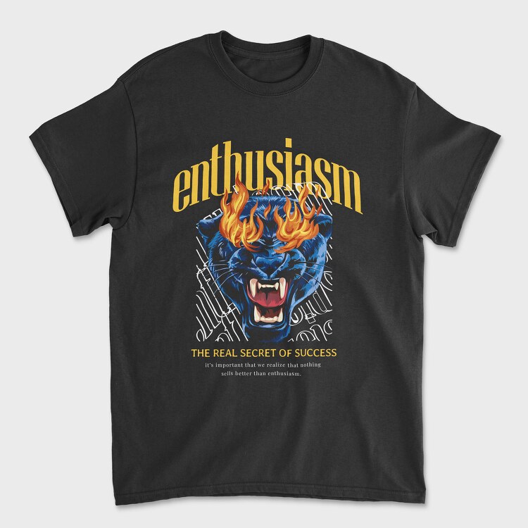 Enthusiasm Secret of Success, Unisex Men's T-Shirt