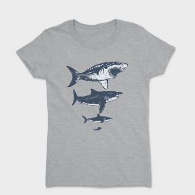 Megalodon Sizes, Women's T-Shirt