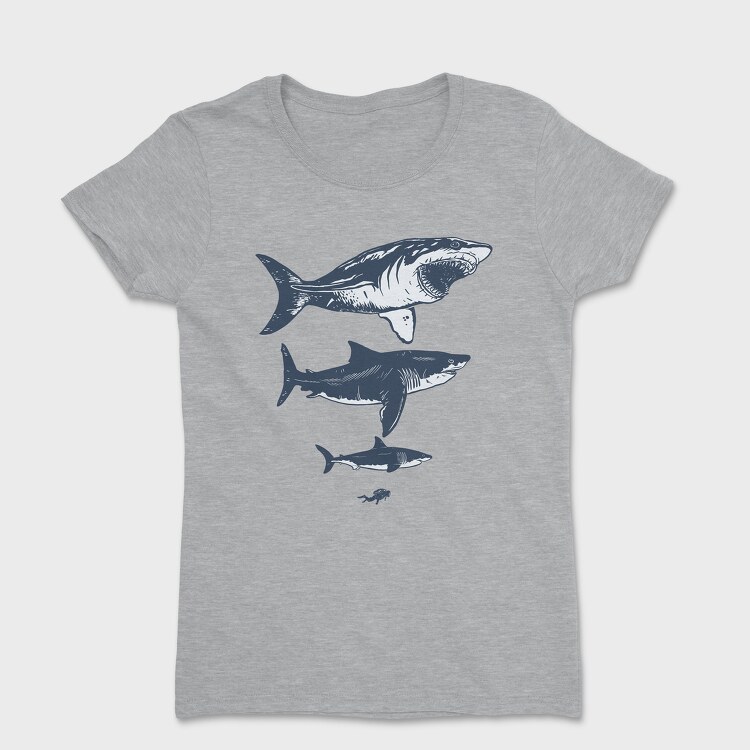 Megalodon Sizes, Women's T-Shirt