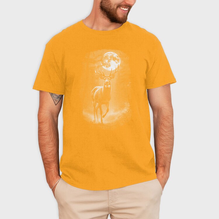 My Hero Academia 1, Women's T-Shirt