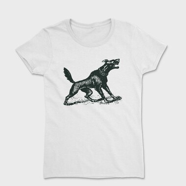 Internal Reform 5, Women's T-Shirt