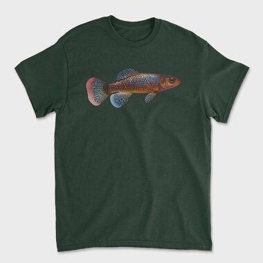 Killifish, Unisex Men's T-Shirt