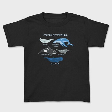 Types of Whales, Kids' T-Shirt