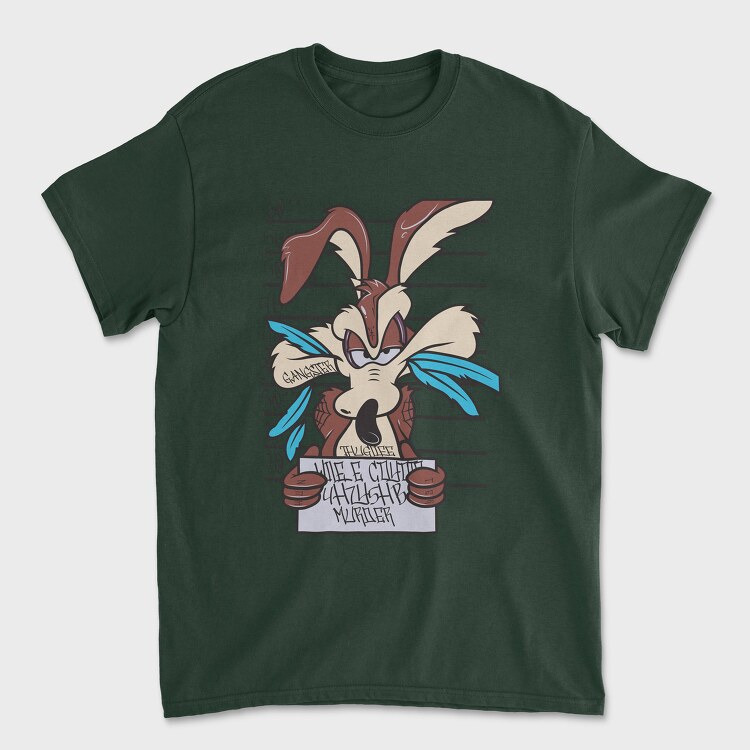 Indian Woman, Women's T-Shirt