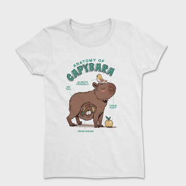 Cute Capybara Anatomy, Women's T-Shirt